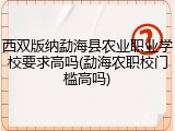 西双版纳勐海县农业职业学校要求高吗(勐海农职校门槛高吗)