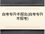 自考专升本报名(自考专升本报考)