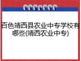 百色靖西县农业中专学校有哪些(靖西农业中专)