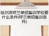 哈尔滨呼兰单招集训学校要什么条件(呼兰单招集训条件)