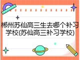 郴州苏仙高三生去哪个补习学校(苏仙高三补习学校)