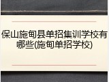 保山施甸县单招集训学校有哪些(施甸单招学校)