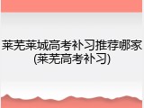 莱芜莱城高考补习推荐哪家(莱芜高考补习)