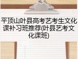 平顶山叶县高考艺考生文化课补习班推荐(叶县艺考文化课班)