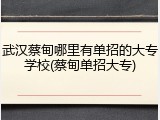 武汉蔡甸哪里有单招的大专学校(蔡甸单招大专)