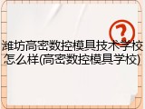 潍坊高密数控模具技术学校怎么样(高密数控模具学校)