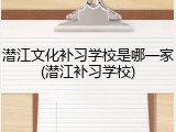 潜江文化补习学校是哪一家(潜江补习学校)
