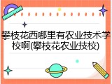 攀枝花西哪里有农业技术学校啊(攀枝花农业技校)