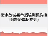 衡水故城县单招培训机构推荐(故城单招培训)