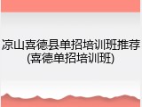 凉山喜德县单招培训班推荐(喜德单招培训班)
