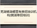 芜湖镜湖哪里有单招培训机构(镜湖单招培训)
