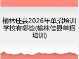 榆林佳县2026年单招培训学校有哪些(榆林佳县单招培训)