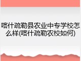 喀什疏勒县农业中专学校怎么样(喀什疏勒农校如何)