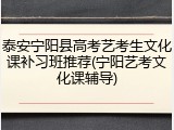 泰安宁阳县高考艺考生文化课补习班推荐(宁阳艺考文化课辅导)
