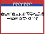 泰安新泰文化补习学校是哪一家(新泰文化补习)