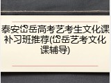 泰安岱岳高考艺考生文化课补习班推荐(岱岳艺考文化课辅导)