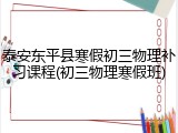 泰安东平县寒假初三物理补习课程(初三物理寒假班)
