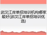 武汉江岸单招培训机构哪家最好(武汉江岸单招培训优选)