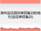 滁州定远县找单招集训的地方(定远单招集训)