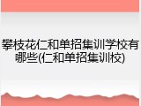攀枝花仁和单招集训学校有哪些(仁和单招集训校)