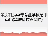 肇庆科技中等专业学校是职高吗(肇庆科技职高吗)