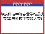 肇庆科技中等专业学校是大专(肇庆科技中专非大专)