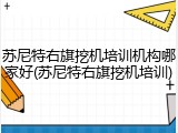 苏尼特右旗挖机培训机构哪家好(苏尼特右旗挖机培训)