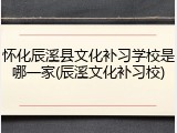 怀化辰溪县文化补习学校是哪一家(辰溪文化补习校)