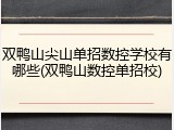 双鸭山尖山单招数控学校有哪些(双鸭山数控单招校)
