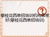攀枝花西单招培训机构哪家好(攀枝花西单招培训)