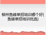 柳州鱼峰单招培训哪个好(鱼峰单招培训优选)