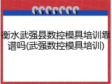 衡水武强县数控模具培训靠谱吗(武强数控模具培训)