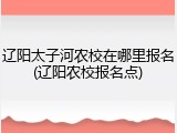 辽阳太子河农校在哪里报名(辽阳农校报名点)