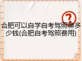 合肥可以自学自考驾照嘛多少钱(合肥自考驾照费用)