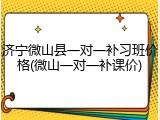 济宁微山县一对一补习班价格(微山一对一补课价)