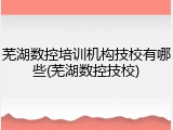 芜湖数控培训机构技校有哪些(芜湖数控技校)