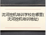 沈河挖机培训学校在哪里(沈河挖机培训地址)