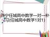 济宁任城高中数学一对一补习(任城高中数学1对1)