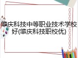 肇庆科技中等职业技术学校好(肇庆科技职校优)