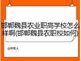 邯郸魏县农业职高学校怎么样啊(邯郸魏县农职校如何)