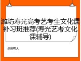 潍坊寿光高考艺考生文化课补习班推荐(寿光艺考文化课辅导)