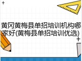 黄冈黄梅县单招培训机构哪家好(黄梅县单招培训优选)