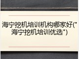 海宁挖机培训机构哪家好("海宁挖机培训优选")