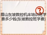 眉山东坡数控机床培训班学费多少钱(东坡数控班学费)