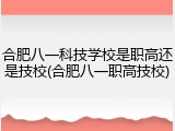 合肥八一科技学校是职高还是技校(合肥八一职高技校)