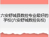 六安舒城县数控专业最好的学校(六安舒城数控名校)