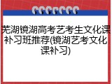 芜湖镜湖高考艺考生文化课补习班推荐(镜湖艺考文化课补习)