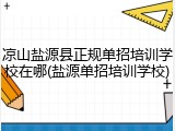 凉山盐源县正规单招培训学校在哪(盐源单招培训学校)