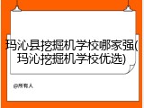 玛沁县挖掘机学校哪家强(玛沁挖掘机学校优选)
