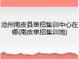 沧州南皮县单招集训中心在哪(南皮单招集训地)